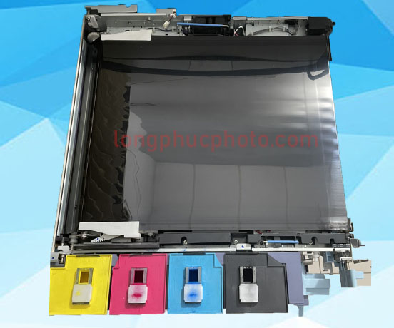 Băng tải máy photocopy toshiba e5540c/e5560c/e6570c